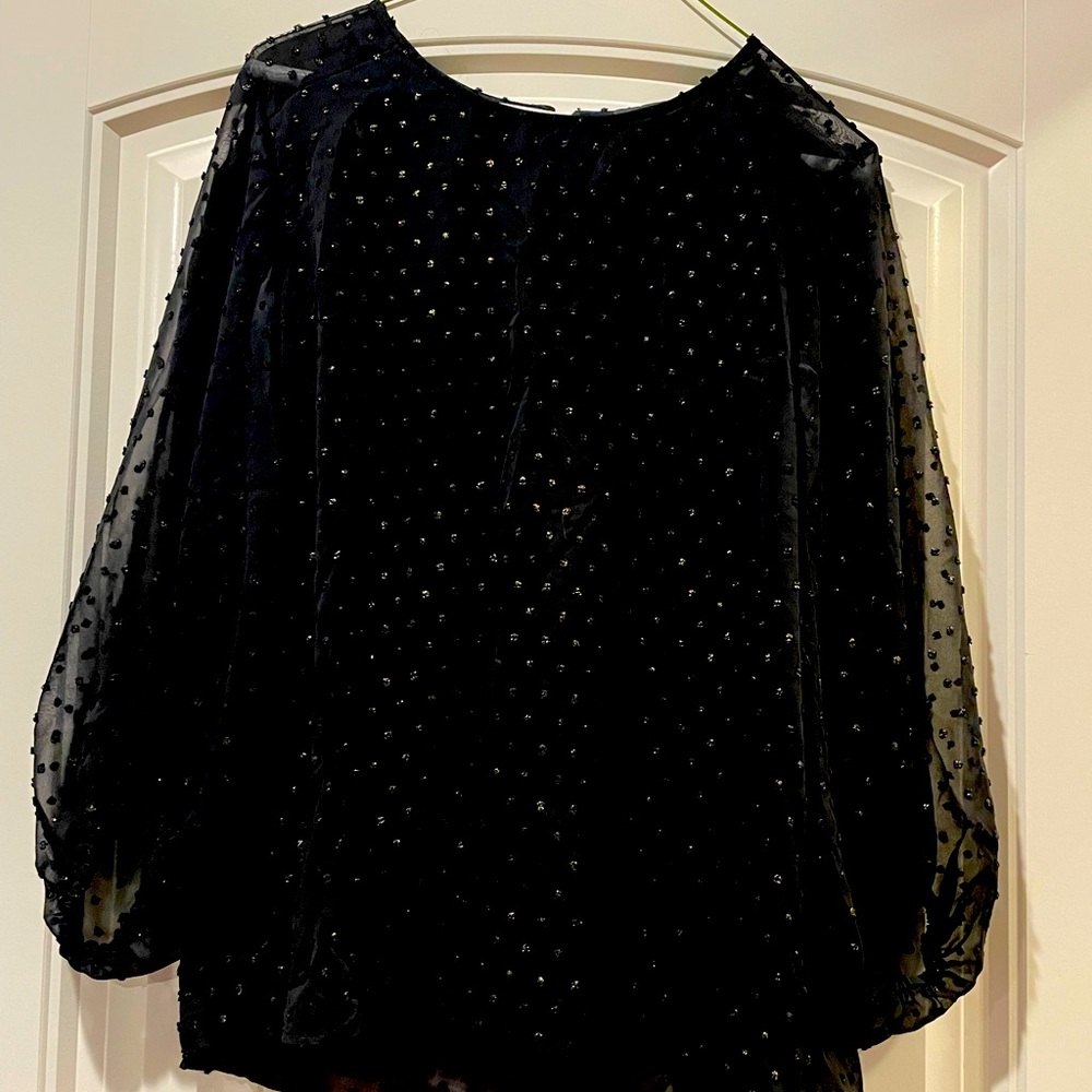 Black shirt with sheer long sleeves and hold swiss dots. Sz M